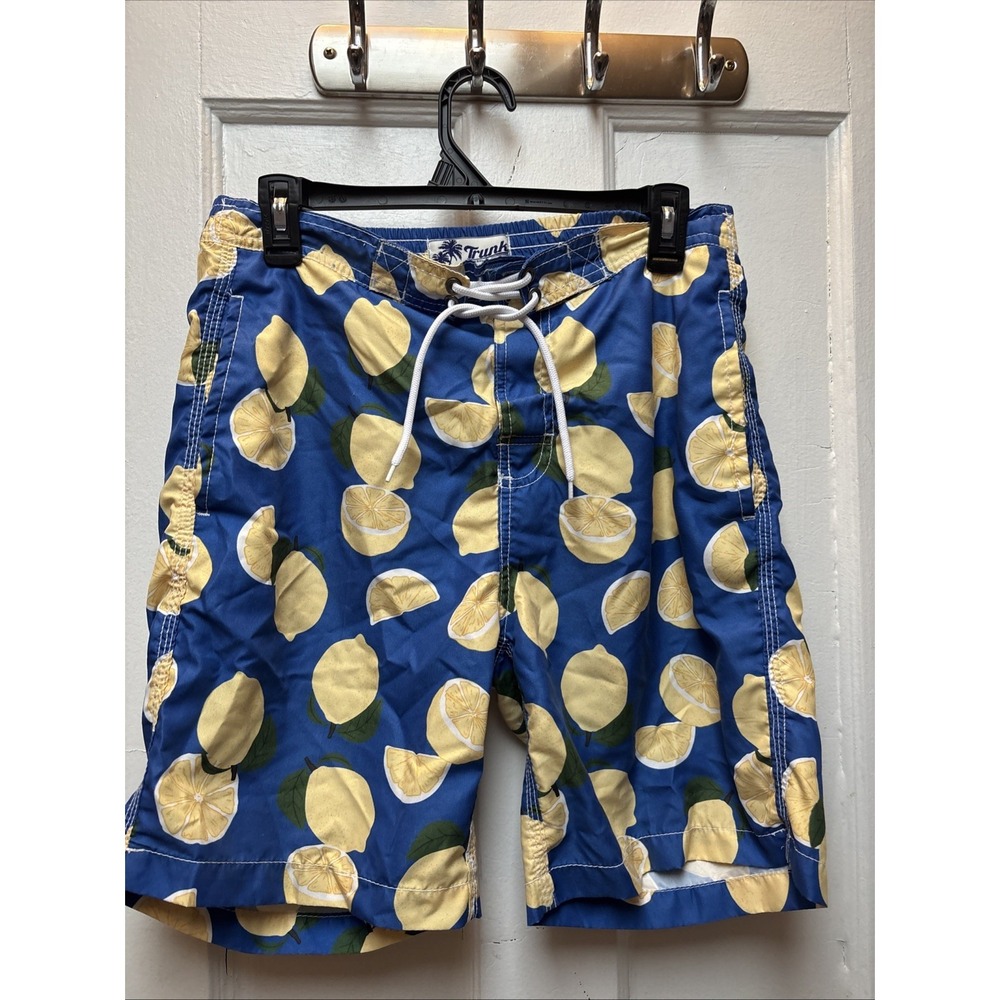 Trunks Surfing Swim Company Men's Swimming Trunks Size Small Blue With Lemon Des